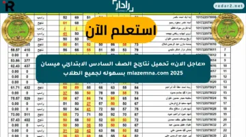 «عاجل الآن» تحميل نتائج الصف السادس الابتدائي ميسان mlazemna.com 2025 بسهولة لجميع الطلاب